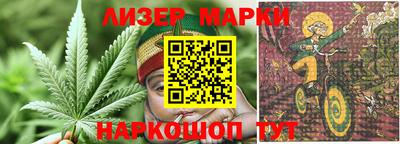 spice Дубна